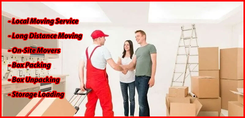 Packers And Movers Noida Sector 35